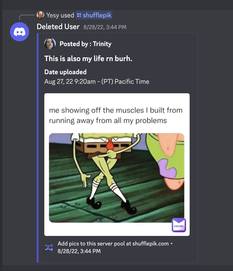 What the heck is Shufflepik?